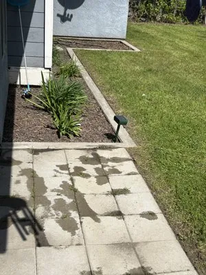 New Generation Lawn Services