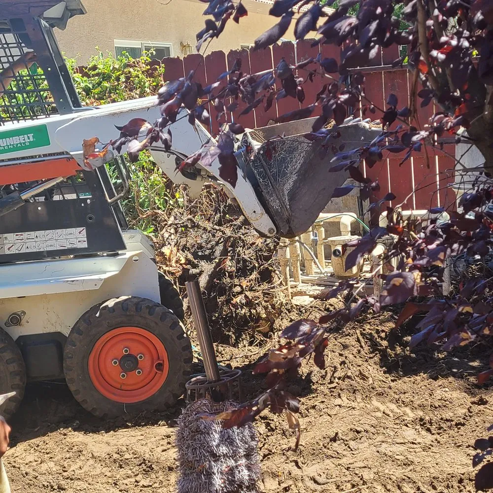 Top-rated garden landscaping in Sacramento, CA - New Generation Pool Construction