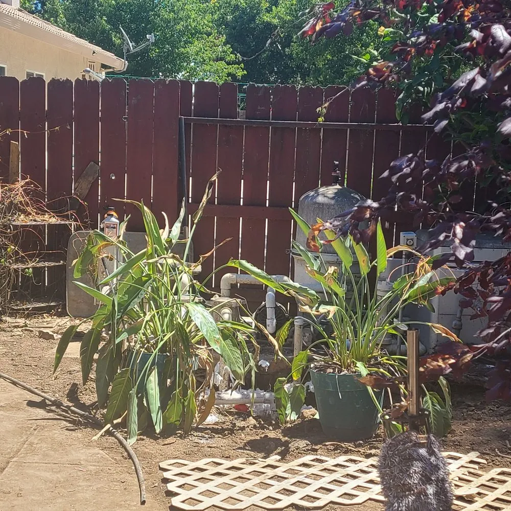 Professional landscape installation experts serving Sacramento, CA - New Generation Pool Construction