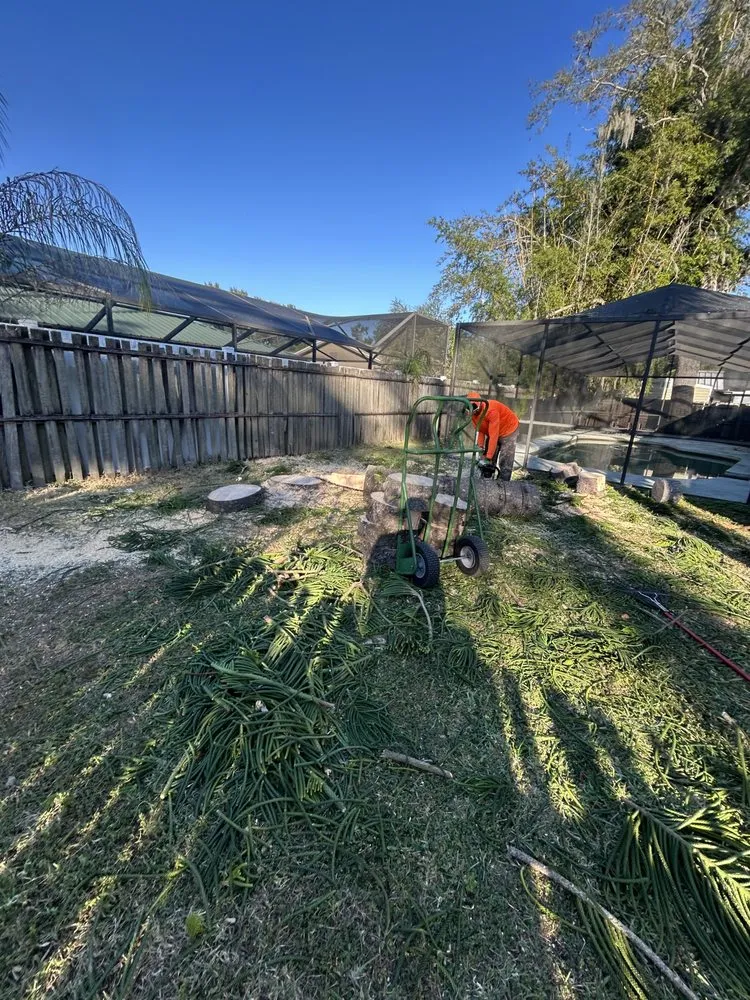 Professional lawn mowing service experts serving Tampa, FL - New Generation Tree In Landscape Service