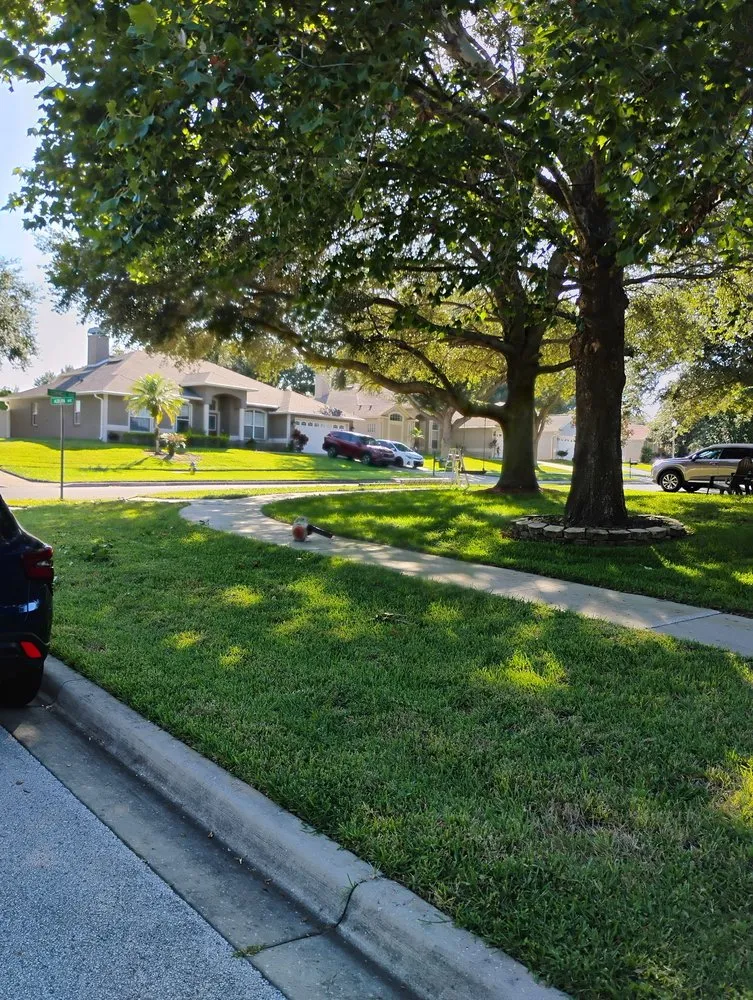 Trusted landscape design in Tampa, FL - New Generation Tree In Landscape Service