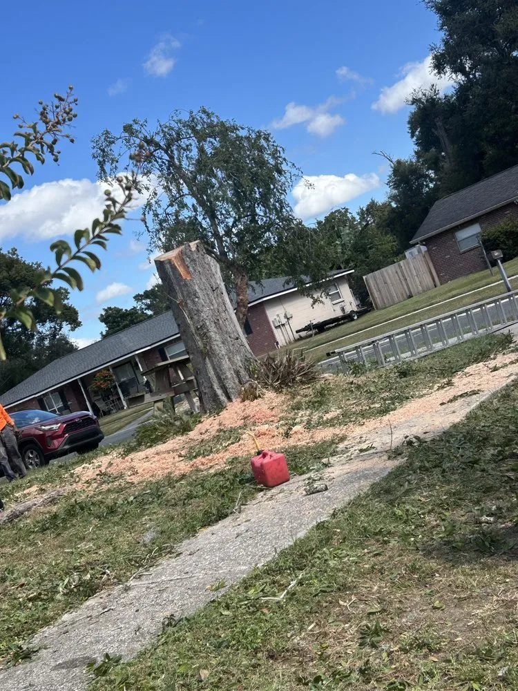 Expert outdoor landscaping for outdoor upgrades across Tampa, FL - New Generation Tree In Landscape Service