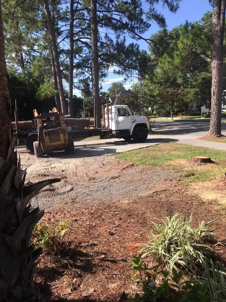 Top-rated lawn mowing service experts serving Tampa, FL - New Generation Tree In Landscape Service