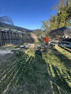 New Generation Tree In Landscape Service Logo