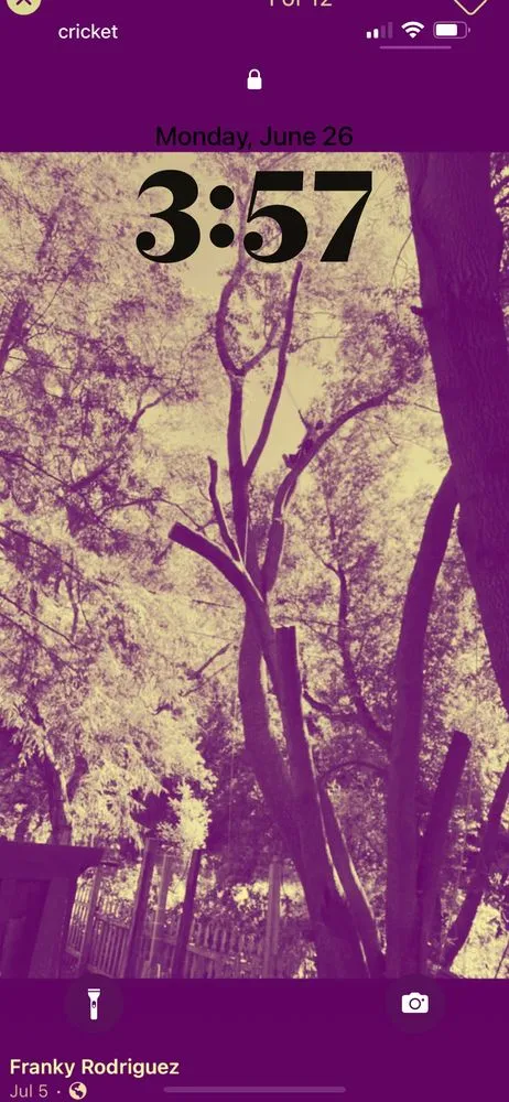 Expert lawn care service for year-round maintenance in Castroville, CA by New Generation Tree Service