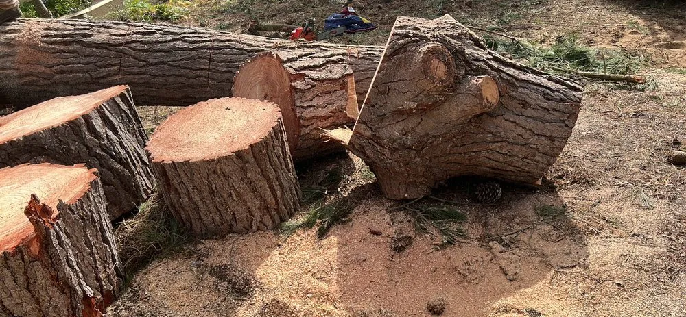 Affordable lawn care service for residential properties in Castroville, CA by New Generation Tree Service