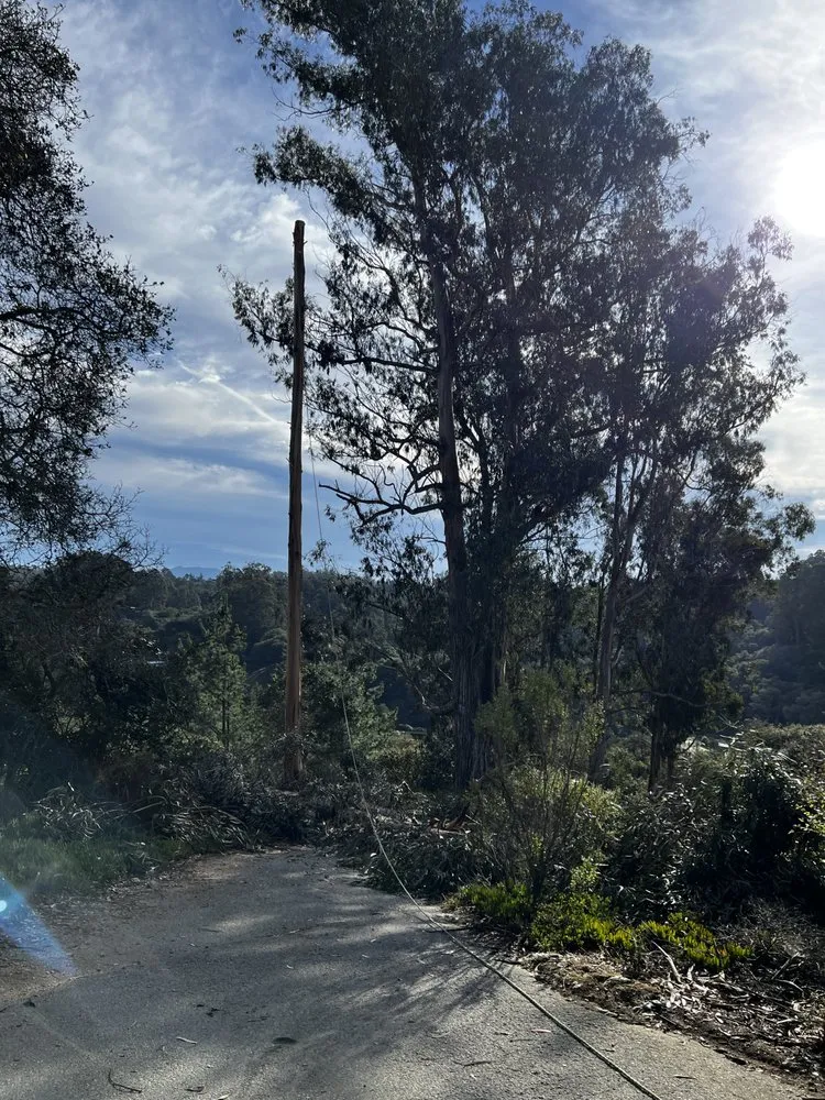 Trusted landscaping services for residential properties across Castroville, CA - New Generation Tree Service