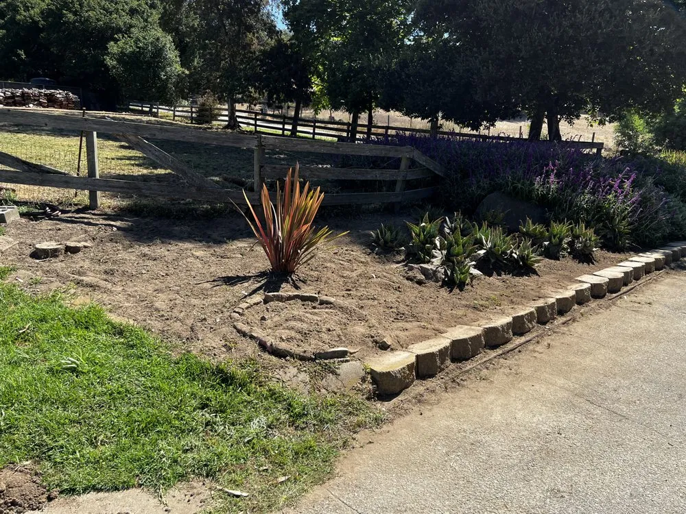 Reliable residential landscaping for year-round maintenance across Castroville, CA - New Generation Tree Service