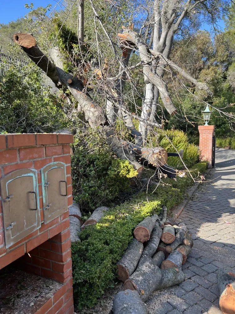 Professional outdoor landscaping for homes across Castroville, CA - New Generation Tree Service