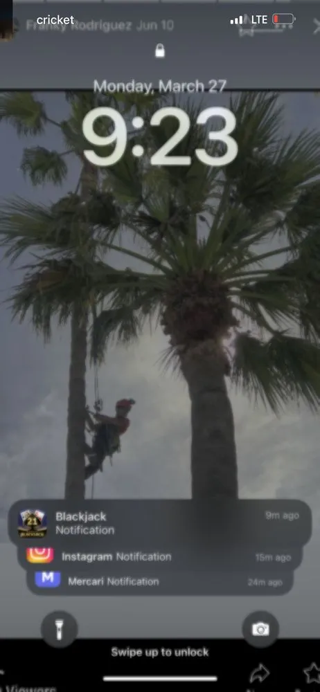 Expert lawn mowing service near you in Castroville, CA by New Generation Tree Service