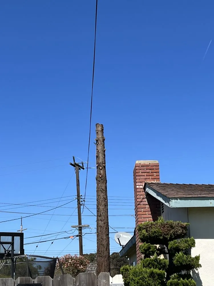 Affordable yard maintenance experts serving Castroville, CA - New Generation Tree Service