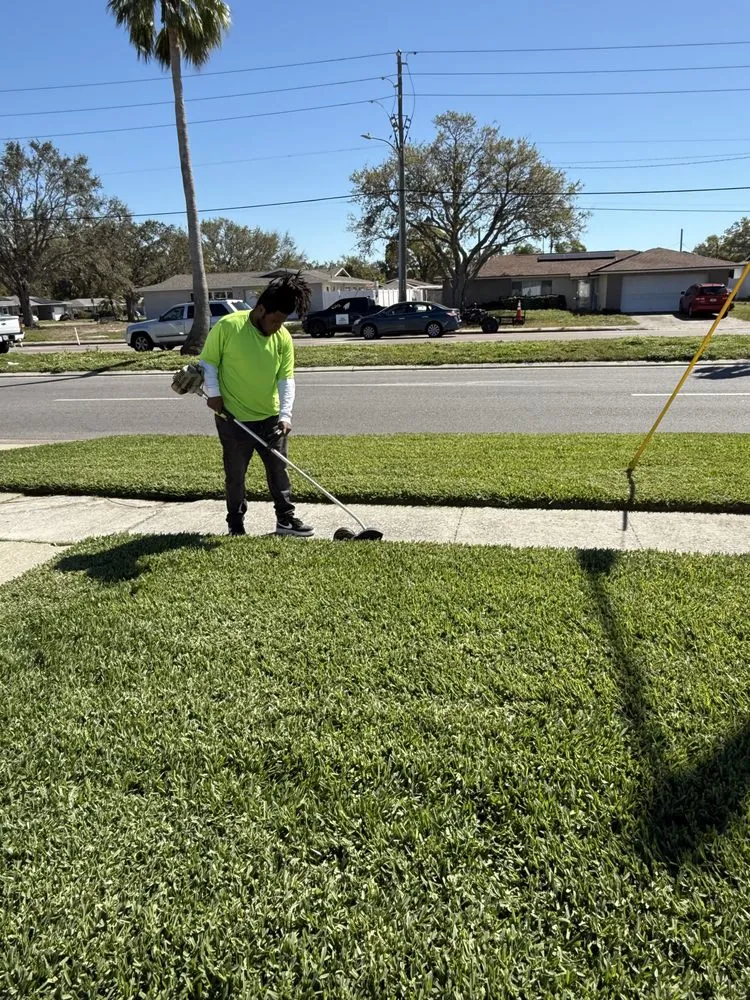 Affordable yard cleanup service in Tampa, FL by New Graze Lawn Care Services