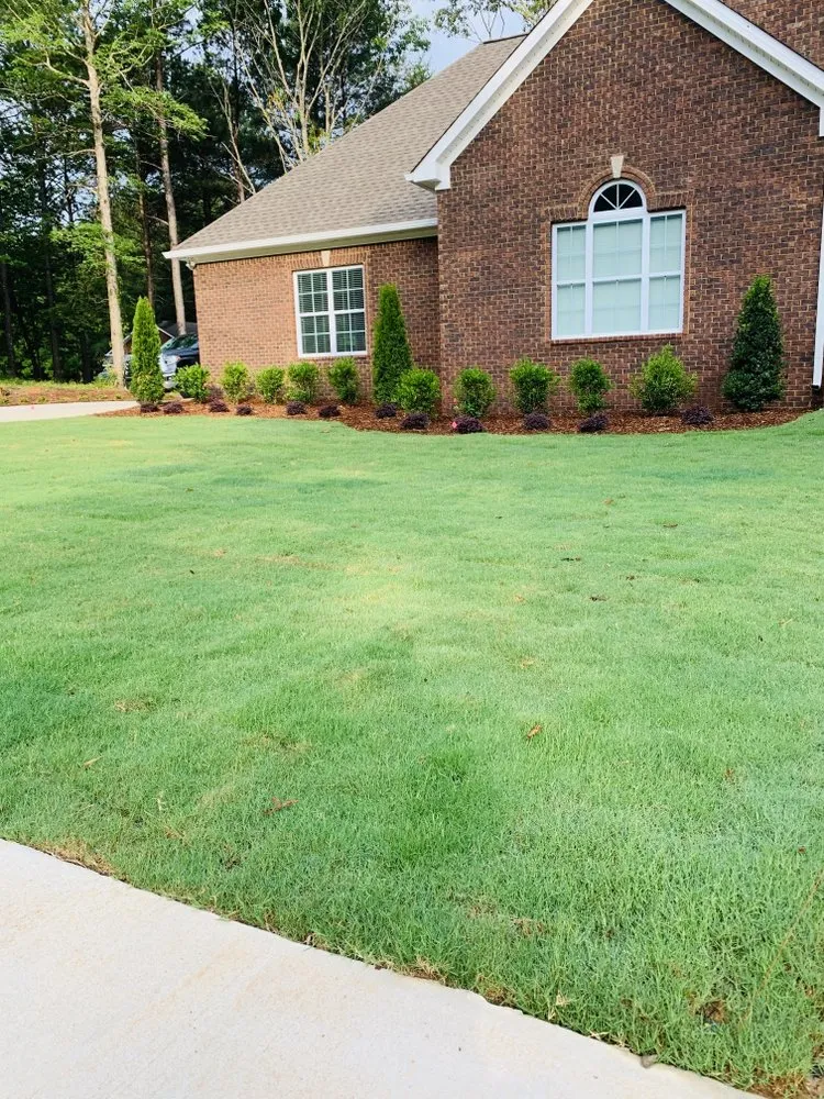 Professional garden landscaping in Mccalla, AL by New Green Care Lawn Maintenance