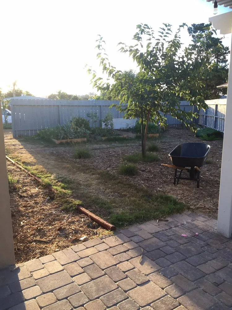 Custom yard cleanup service in San Diego, CA by New Green Landscape Company