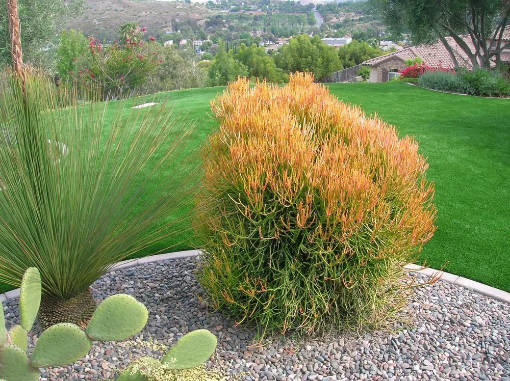 Professional landscaping services for homes in San Diego, CA by New Green Landscape Company