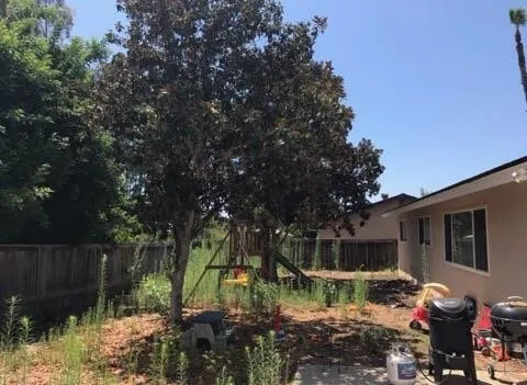 Reliable landscape installation in San Diego, CA - New Green Landscape Company