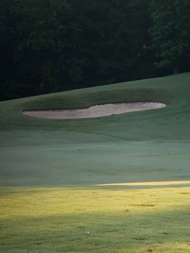 Local garden landscaping in East Point, GA by New Green Lawn