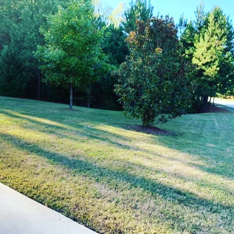 Trusted yard maintenance experts serving East Point, GA - New Green Lawn