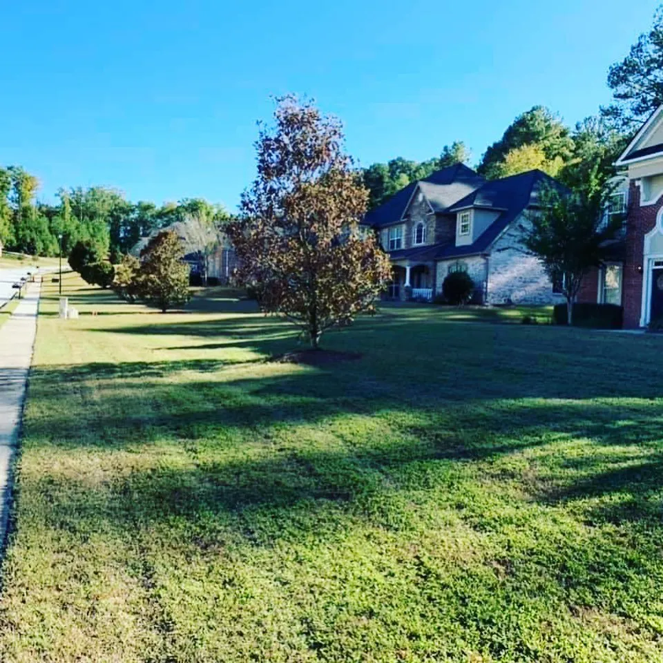 Expert yard maintenance experts serving East Point, GA - New Green Lawn
