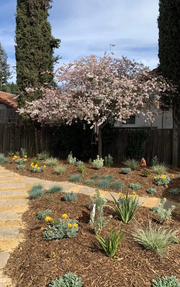 Trusted landscape installation for outdoor upgrades in Fairfax, CA by New Growth