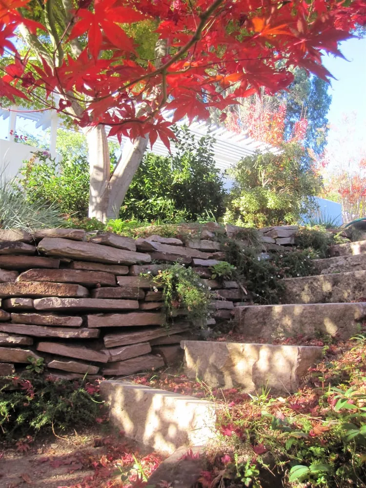 Top-rated outdoor landscaping experts serving Fairfax, CA - New Growth