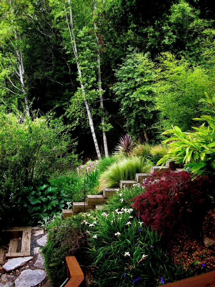 Local outdoor landscaping for residential properties across Fairfax, CA - New Growth