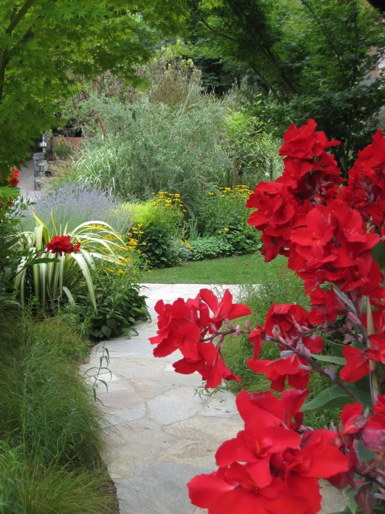 Local lawn care service experts serving Fairfax, CA - New Growth