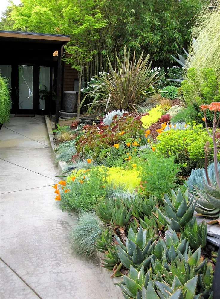 Top-rated landscape design for homes in Fairfax, CA by New Growth