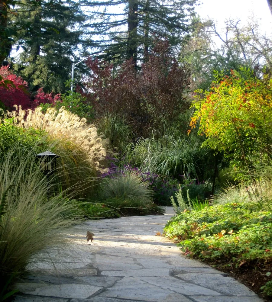 Reliable lawn mowing service in Fairfax, CA by New Growth