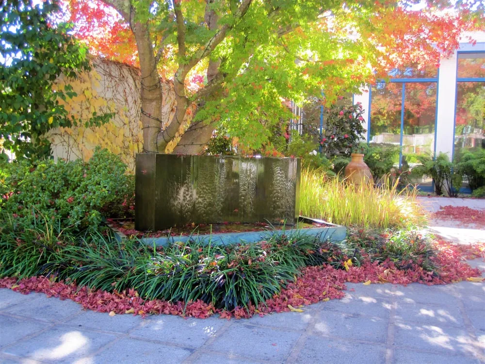 Custom outdoor landscaping in Fairfax, CA by New Growth