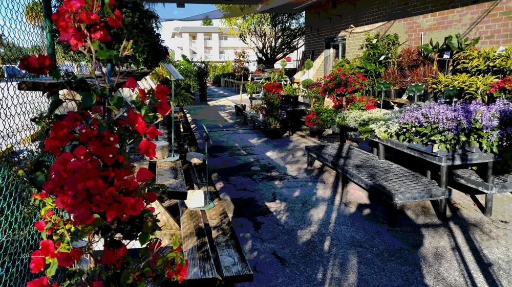 Local landscaping services near you across Saint Petersburg, FL - New Growth Gardening