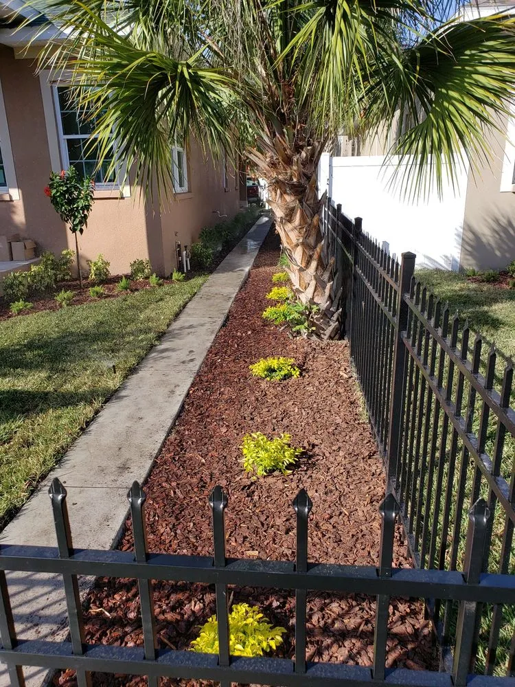 Reliable garden landscaping in Saint Petersburg, FL by New Growth Gardening