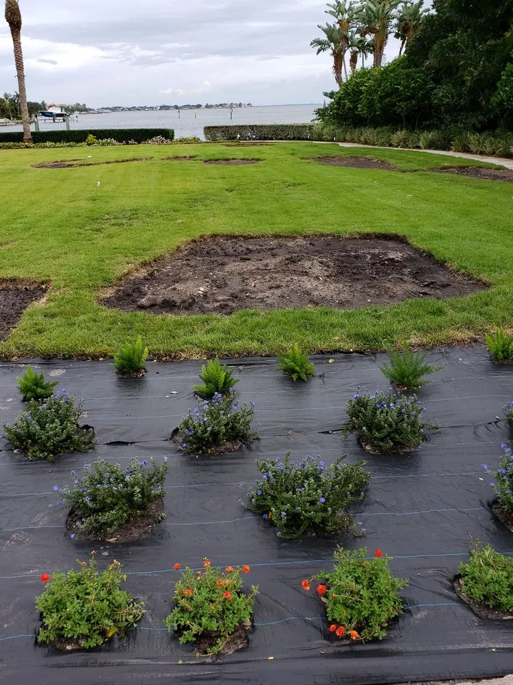 Local garden landscaping experts serving Saint Petersburg, FL - New Growth Gardening