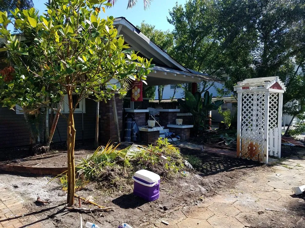 Local yard maintenance in Saint Petersburg, FL - New Growth Gardening