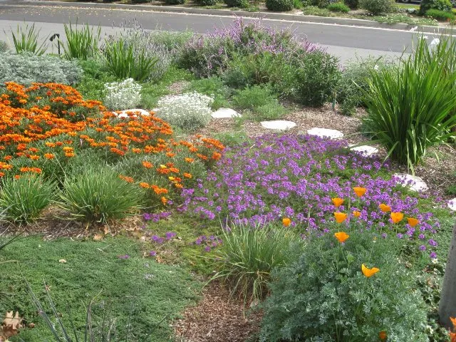 Top-rated yard maintenance in Covina, CA by New Growth Landscaping