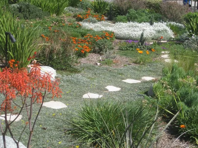 Local landscaping services in Covina, CA by New Growth Landscaping