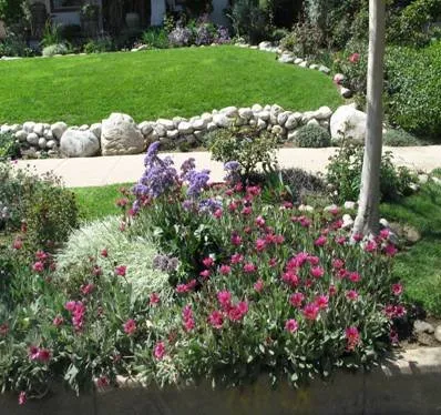 Trusted lawn care service in Covina, CA - New Growth Landscaping