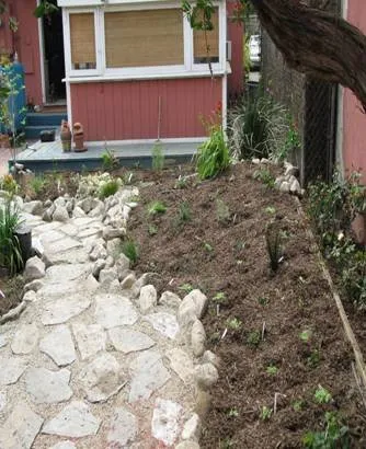 Trusted yard cleanup service in Covina, CA by New Growth Landscaping