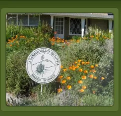 Professional lawn care service in Covina, CA by New Growth Landscaping