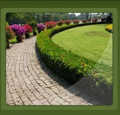 Top-rated landscaping services experts serving Covina, CA - New Growth Landscaping