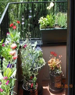 Expert outdoor landscaping in Covina, CA - New Growth Landscaping