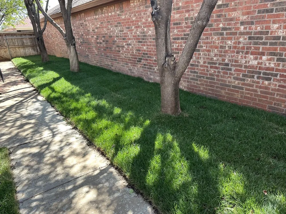 Custom landscaping services in Lubbock, TX by New Growth Landscaping