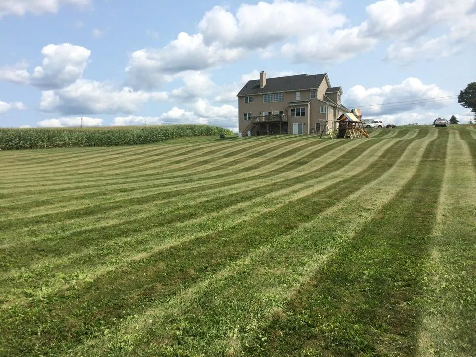 Reliable yard cleanup service for residential properties in New Hampton, NY by New Hampton Lawn Care