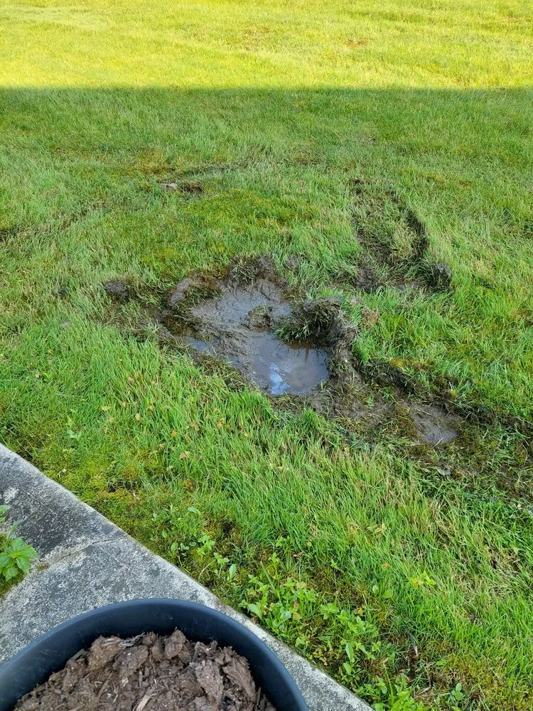 Reliable residential landscaping experts serving New Hampton, NY - New Hampton Lawn Care