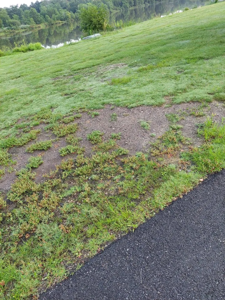 Local residential landscaping for year-round maintenance in New Hampton, NY by New Hampton Lawn Care