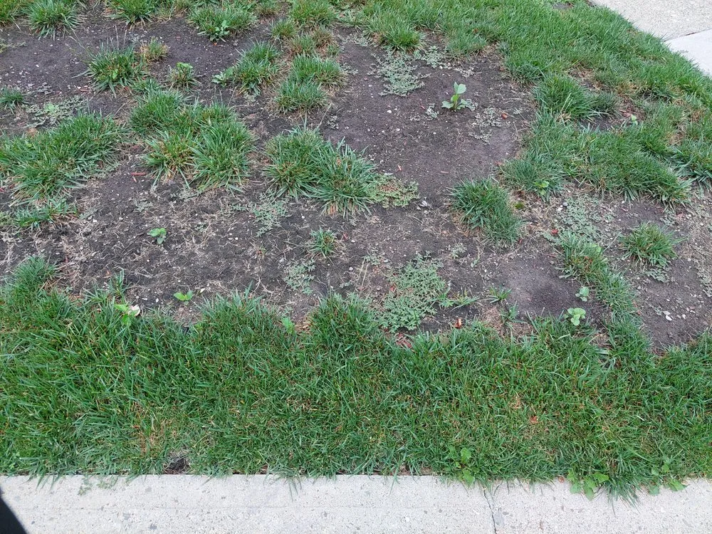 Top-rated lawn care service experts serving New Hampton, NY - New Hampton Lawn Care