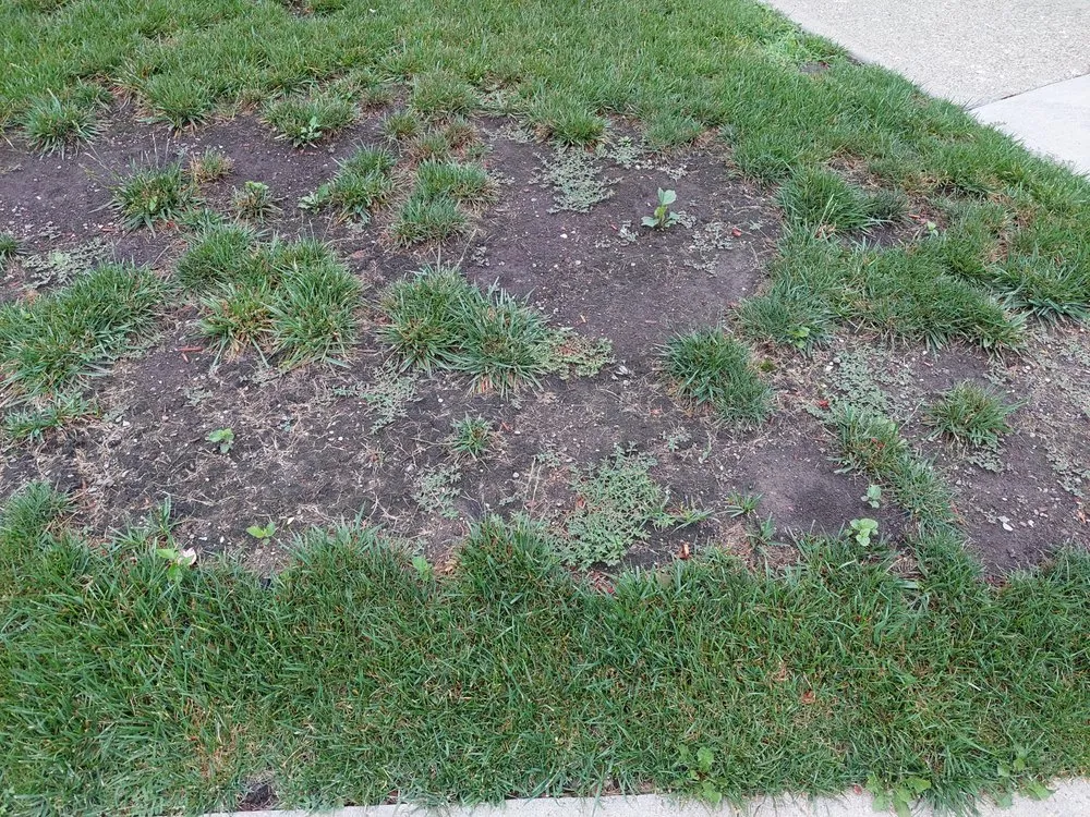 Trusted landscape design experts serving New Hampton, NY - New Hampton Lawn Care