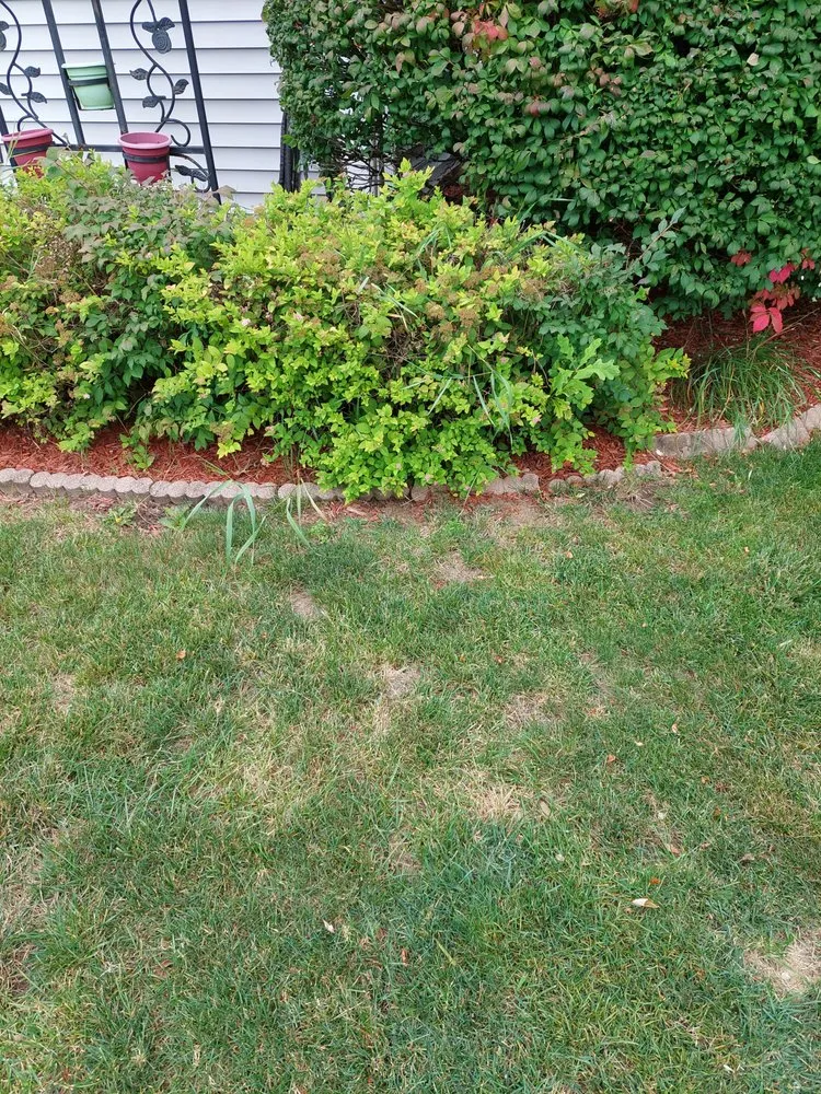 Trusted landscape design in New Hampton, NY by New Hampton Lawn Care