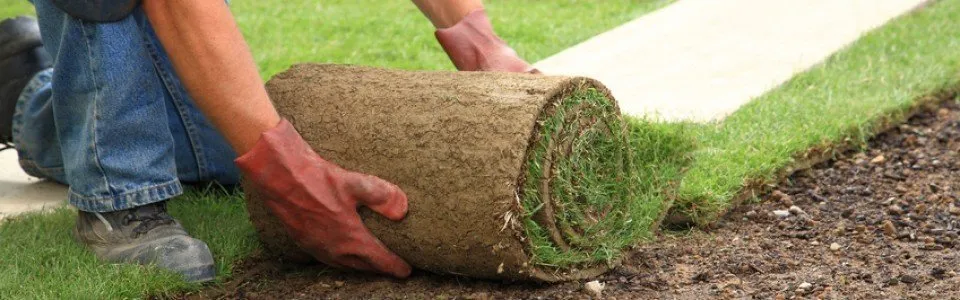 Affordable garden landscaping for beautiful yards across Sanford, NC - New Hanover Landscaping