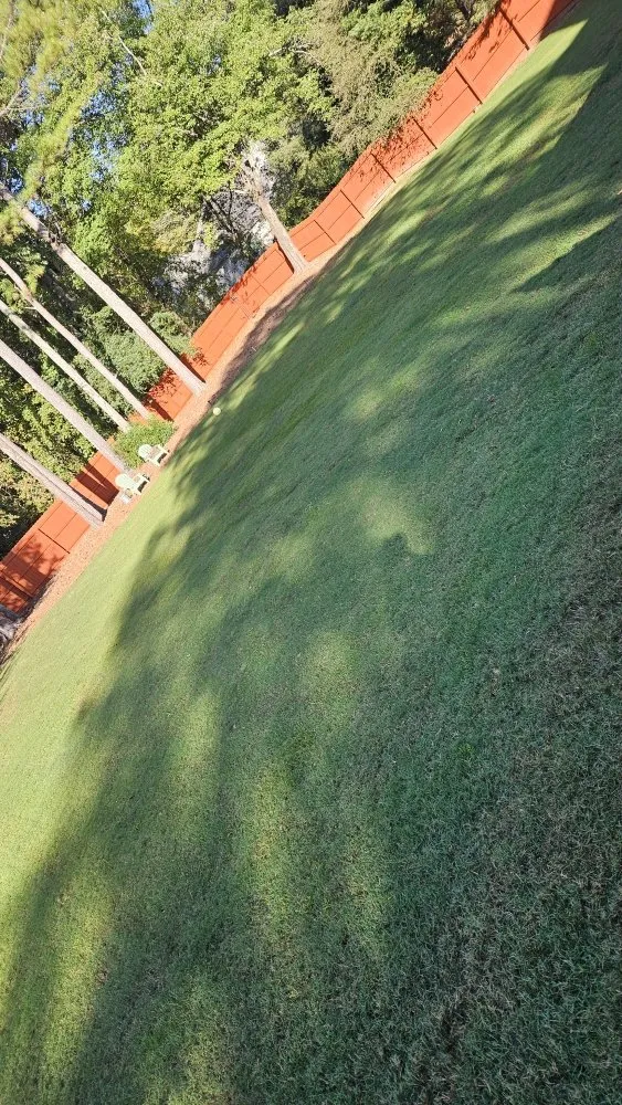 Local landscaping services for residential properties across Buford, GA - New Harvest LawnCare & Solutions